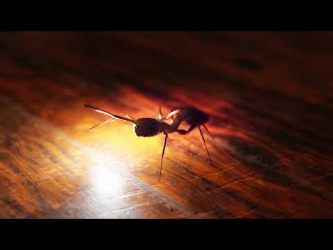 Modeling an ant Part 2: Rigging and materials