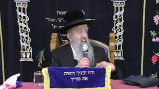 מעלת שביעי של פסח וכיצד ראוי לנהוג בו סודאי ניסן תשפא