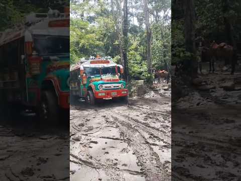 las vias rurales del departamento de Santander en Colombia y la belleza de estos buses #campo