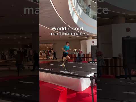 What Kelvin Kiptum's World record marathon pace looks like 2:51 km/min pace. 21 km/h😳🤯