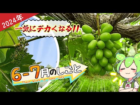 いつエンドウ豆を植えるのですか？生産を最適化し、収穫を成功させるにはどうすればよいでしょうか?  庭園