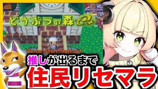 ☀朝活☀【20年以上前のどうぶつの森】どうぶつの森e+で遊ぶ！【ゲームキューブ】#レトロゲーム #女性実況 #vtuber #甘乃あもこ