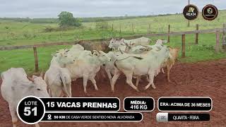 Vídeo LOTE 51