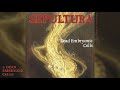 Sepultura Dead Embryonic Cells 1991 Single