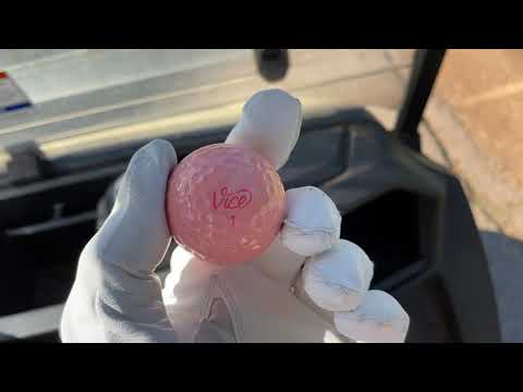 Vice Pro Soft Review