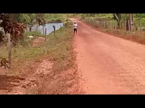 Muita fartura no interior do Maranhão conhecido como Satubinha 