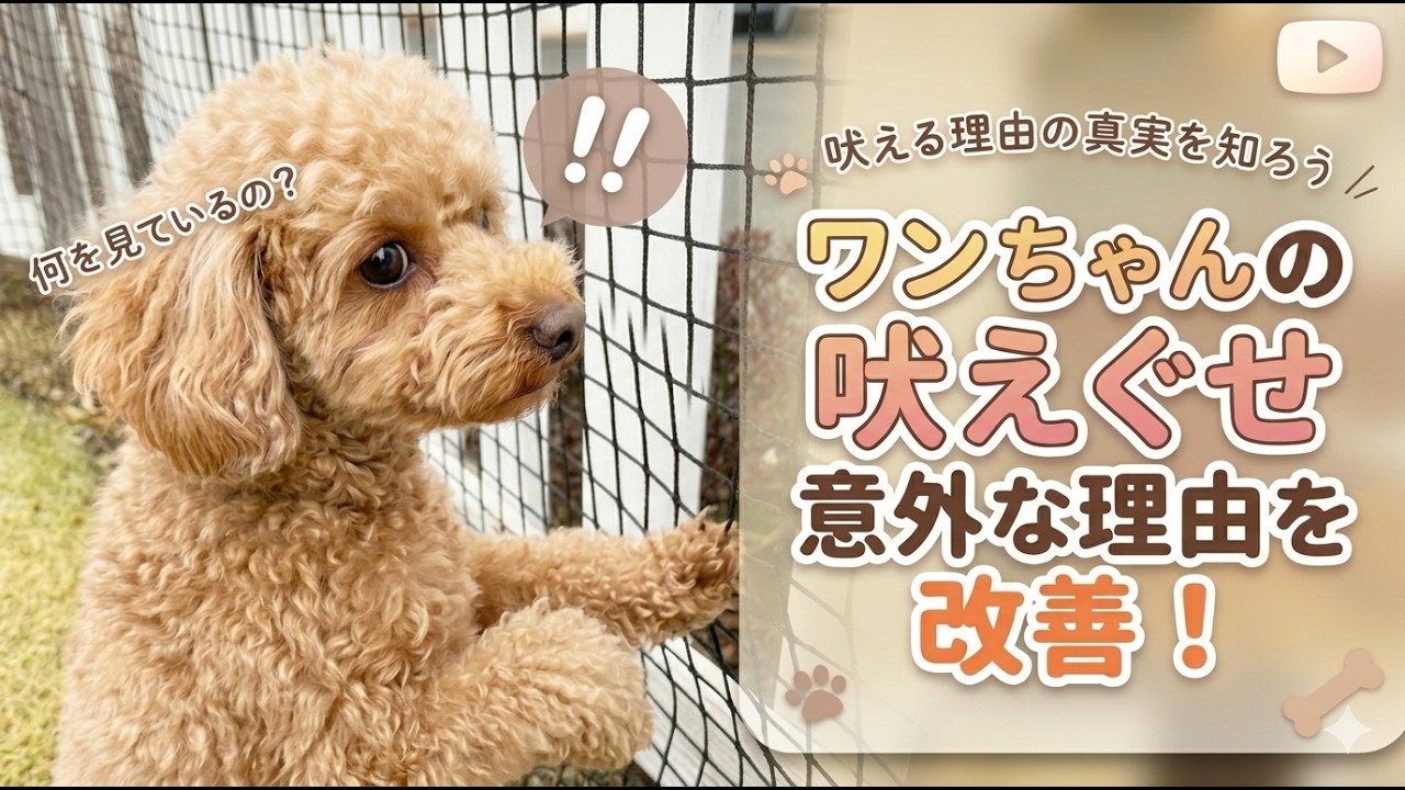 吠え癖、実は○○が原因？