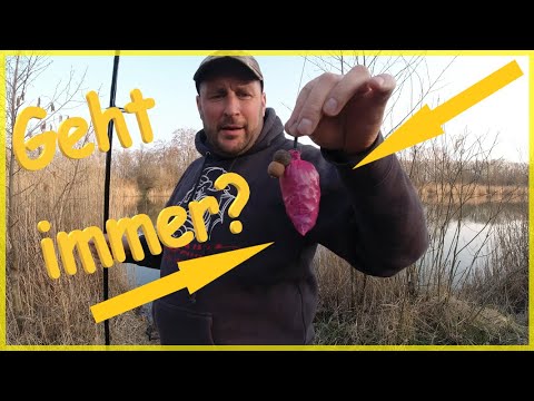 Karpfenangeln die erste Nacht 2022 am See / Carp fishing 2022