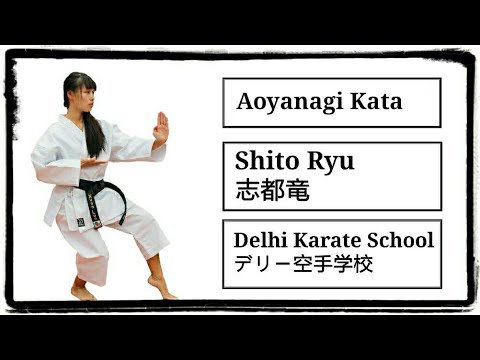 Aoyanagi Kata | Shito-Ryu Kata | Delhi Karate School