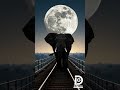 Surreal Elephant Art Silhouette Composite