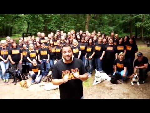 Hundetraining mit Martin Rütter DOGS Hundeschulen - "Bei Fuß"