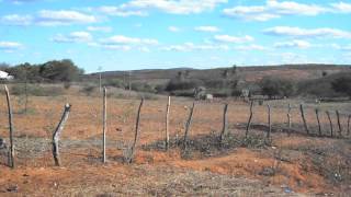 preview picture of video 'Antiga Casa Pereira Arruda em Agua Branca-Serra Talhada-PE'