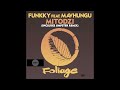 Funkky Feat Mavhungu Mitodzi Jimpster Remix