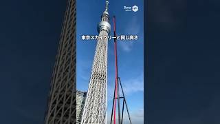 スカイツリーの頂上から落ちるコースターが怖すぎるｗｗｗ#東京スカイツリー #絶叫マシン #ジェットコースター #高所恐怖症 #心臓に悪い #衝撃映像 #TokyoSkytree