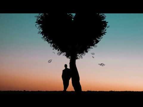 Bụi mờ - Cung Minh Huân