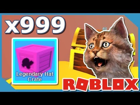 roblox keyboard cat id e free roblox
