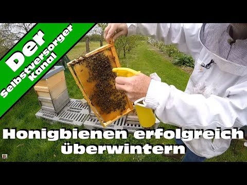 , title : 'Honigbienen erfolgreich überwintern'