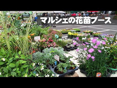 侵入的な園芸植物のうち、刈り込みの抜けを制御する方法はどれですか