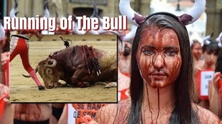 RUNNING OF THE BULLS - PAMPLONA - BULL FIGHT PROTEST - PETA