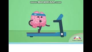 Action 10 module 6 p69 The Human Brain