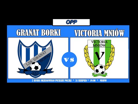 2 runda Okręgowego Pucharu Polski 2023/24 Granat Borki - Victoria Mniów