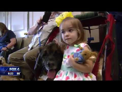 3rd YouTube video about are doctors first responders
