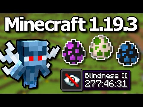 Everything About Minecraft 1.19.3 Update - New Vex, Spawn Eggs, 1.20 Previews, Fill Biome & More!