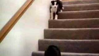 Charlie helps Jessie down the scary stairs