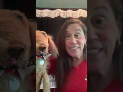 Promotional video thumbnail 2 for Small Wonders Puppet Theater