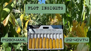 Plot Insights 212-40VT4 vs P12904AML
