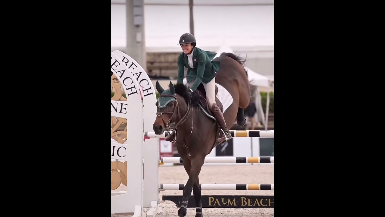 Show Jumping ❤️ #equestrian #horseriding #horses #trending #horsejumping #showjumping