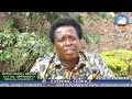 GETTING DEEPER PASTOR ANTHONY MUSEMBI