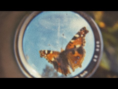 פאר טסי - פרפר (Prod. by Matan Dror, Talisman, Marko)