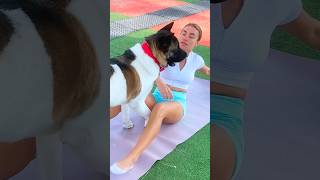 Workout Was the Plan. Dog Ruined Everything 😂🐶 #funnydogs #fitnessfail #dogshorts #shorts #workout