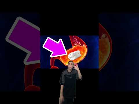 OUR PARENTS LIED TO US 🤥 w OnlyJayus - #Shorts