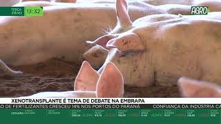 Miniatura do vídeo