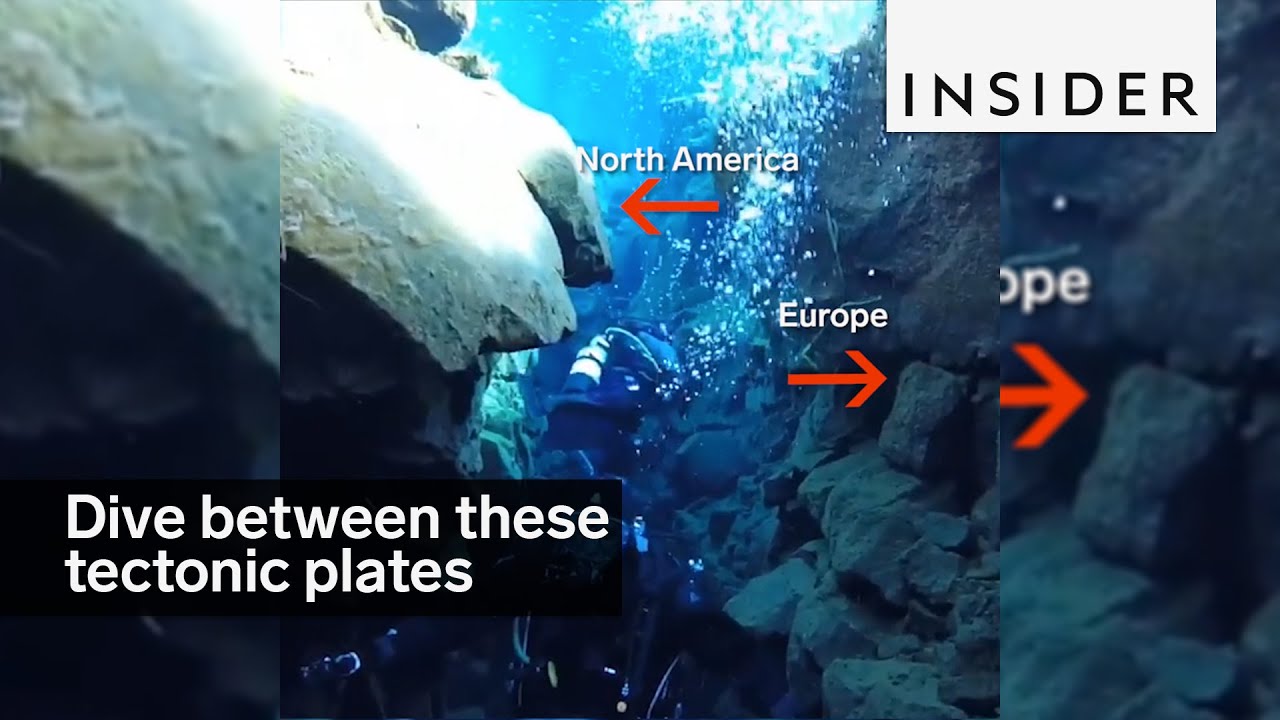 You can dive between tectonic plates