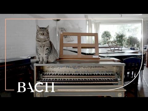 Video thumbnail for Prelude and Fugue in F-sharp minor, BWV 859