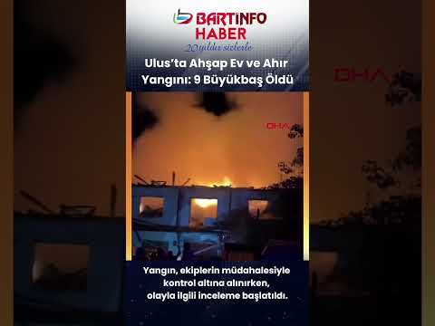 🔥 Bartın’da gece yarısı yangın: 9 büyükbaş telef oldu!
