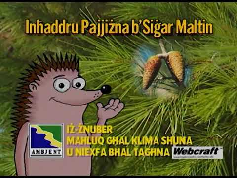 29 Xummiemu   Inhaddru pajjizna b'sigar Maltin