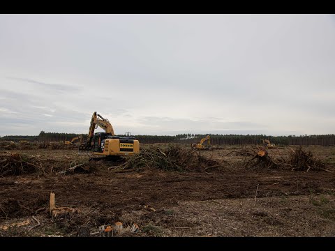 Gigafactory Berlin - Update 23-02-2020