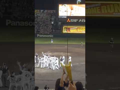 阪神 森下翔太 左中間への11号サヨナラホームラン #タイガース #森下 #阪神タイガース #baseball #sports #hanshintigers #森下翔太 #ホームラン #甲子園