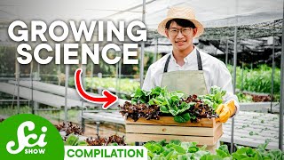 Is Old-School Gardening the Future of Food?