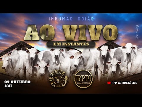 LEILÃO VIRTUAL E PRESENCIAL VALE DO MEIA PONTE LEILÕES - INHUMAS - 13 DE OUTUBRO DE 2025.