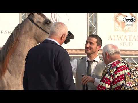 Bergamo Int  Show 2022   Special Award   Best Legs