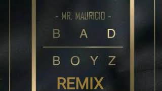 Bad Boyz - Mr. Mauricio ft. Pitbull Bobby Biscane &amp; Austin Mahone  (Remix by Ricky305 )