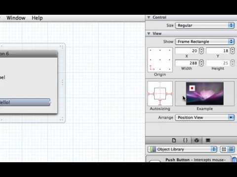 Cocoa Programming L6 - Size Attributes