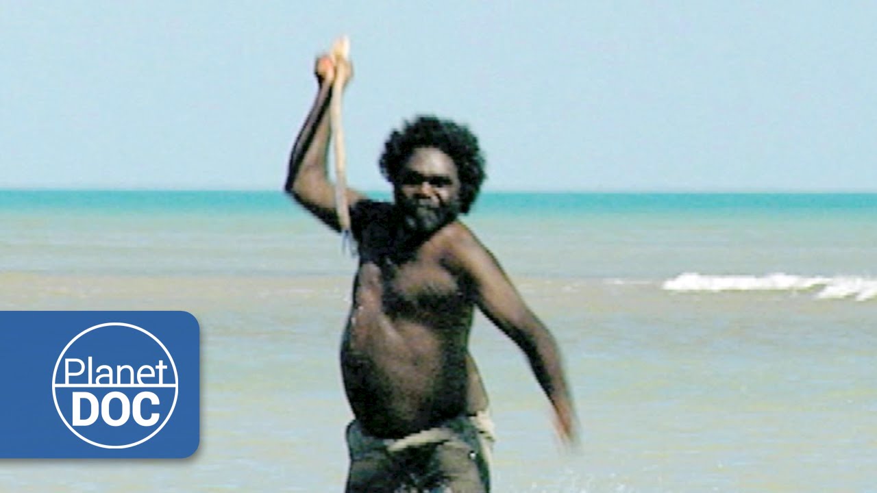 How did the aborigines hunt wallabies?