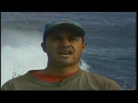 Bodyboard   The inside