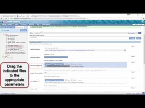 Perform Gene Set Enrichment Analysis